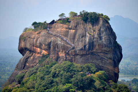 De Negombo: excursion d’une journée à Sigiriya et DambullaDe Negombo: excursion privée d'une journée à Sigiriya et Dambulla