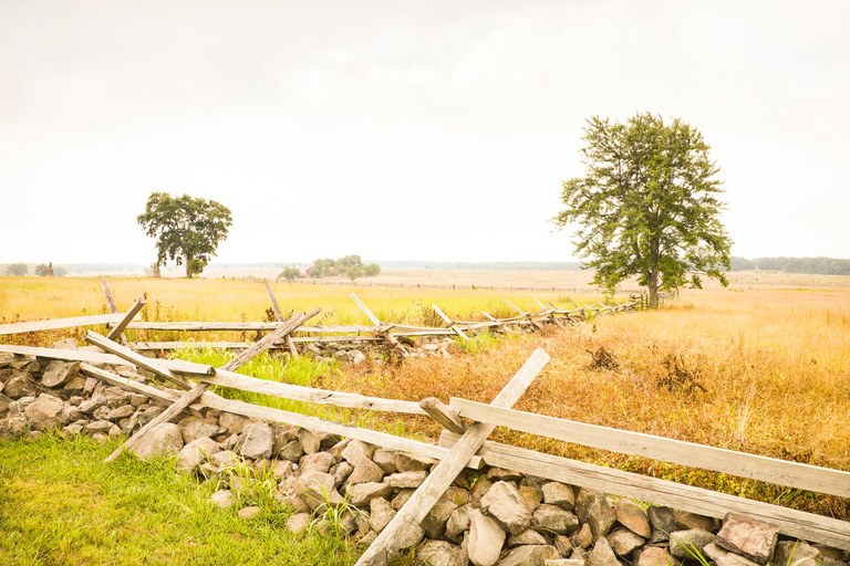 Gettysburg: Licensed Guided Battlefield Horseback Tour