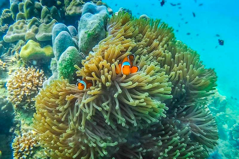 Koh Lanta: 4 Islands and Emerald Cave Snorkeling Trip