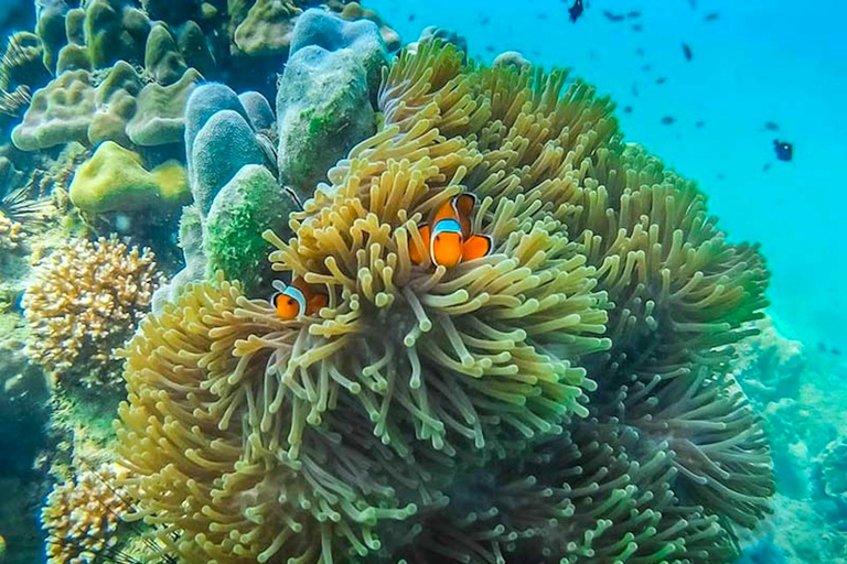 Koh Lanta: 4 Islands and Emerald Cave Snorkeling Trip