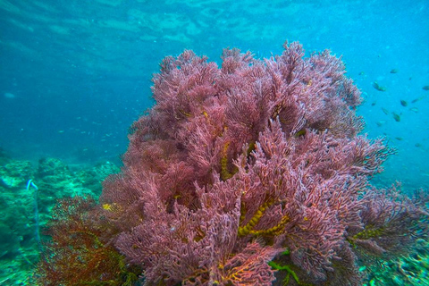 Koh Lanta: 4 Islands and Emerald Cave Snorkeling Trip