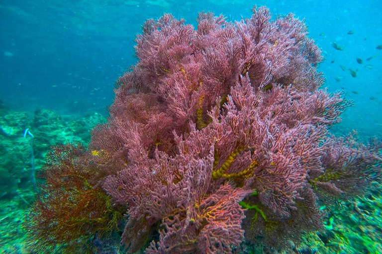 Koh Lanta: 4 Islands and Emerald Cave Snorkeling Trip