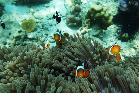 Koh Lanta: 4 Islands and Emerald Cave Snorkeling Trip