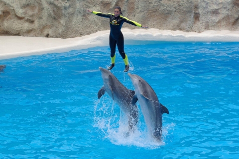 Hurghada: espectáculo de 1 hora en Dolphin World con recogida en el hotelEntradas Dolphin House con traslado privado