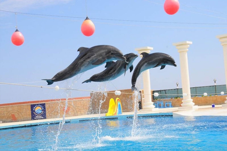 Hurghada: 1-godzinny pokaz w Dolphin World i odbiór z hoteluDelfinarium: bilety i transport