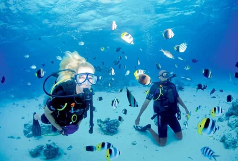 Hurghada Diving or Snorkeling Boat Tour with Lunch & Drinks GetYourGuide