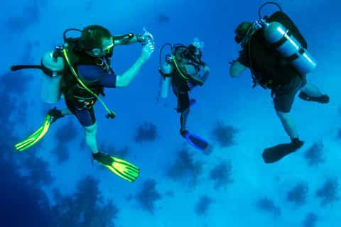 Hurghada: Diving or Snorkeling Boat Tour w/ Lunch and Drinks