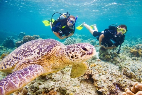 Hurghada: duikexcursie van een dag met lunch & 2 duikplekkenDuiktour met 2 duikplekken