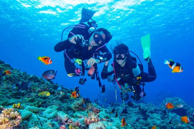 Hurghada : sortie plongée d'une journée avec déjeunerSnorkeling Tour avec 2 sites