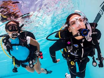 Hurghada: Ganztägige Tauchtour mit Mittagessen Hurghada: Ganztägige Tauchtour mit Mittagessen