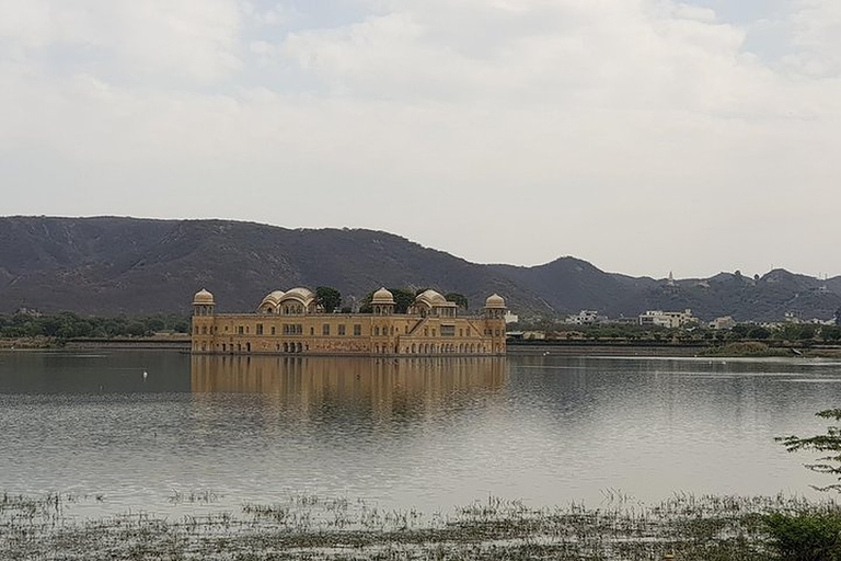 Ab Delhi: Ganztägige private Besichtigungstour von Jaipur