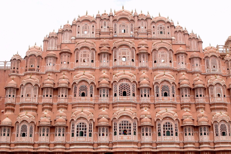 Depuis Delhi: visite guidée privée d'une journée à Jaipur