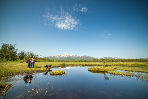 Desde Tromso: Nordic Husky Hike