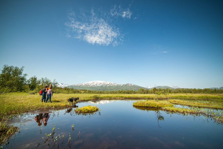 From Tromso: Nordic Husky Hike