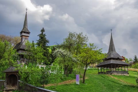 From Cluj-Napoca: Two Day Tour to Maramures