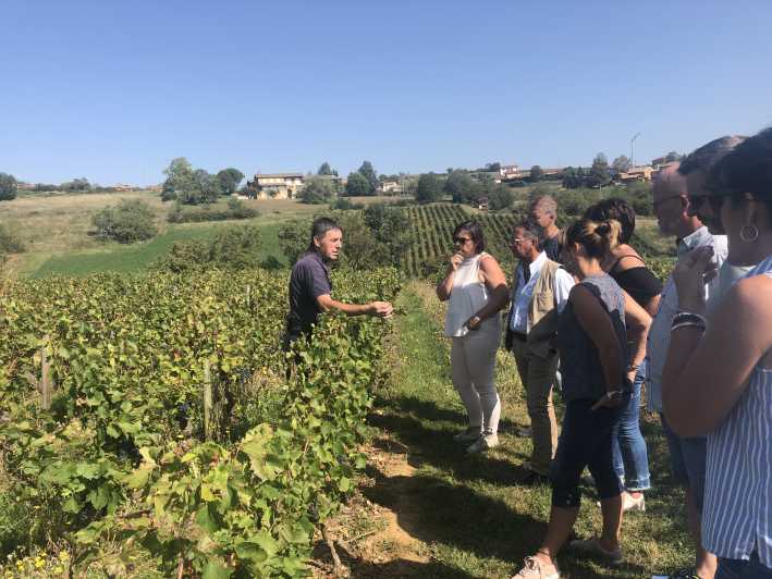 Ab Lyon: Ausflug nach Beaujolais mit Weinprobe