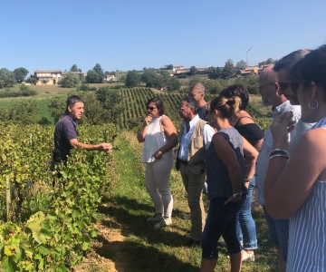 De Lyon: Degustação de Vinhos nas Regiões do Beaujolais