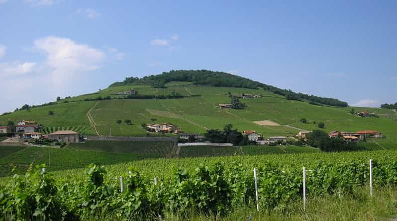 Half-Day Beaujolais Wine Tour from Lyon