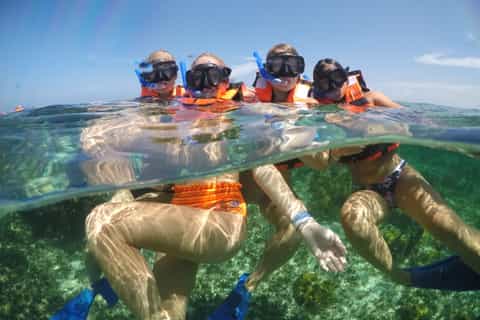 puerto morelos tour de snorkel y bebidas en un club de playa