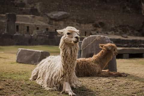 Cusco: Pisac, Maras, Moray, Ollantaytambo Small Group Tour