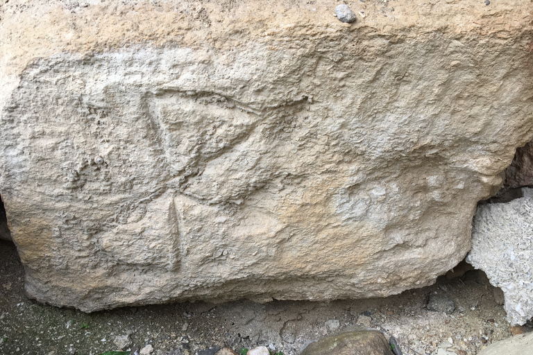 Knossos Palace: Family-friendly Mythology Tour