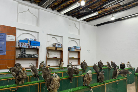 DOHA: City HIGHLIGHTS with a Dhow cruising experience DOHA: City HIGHLIGHTS with Sunset cruising