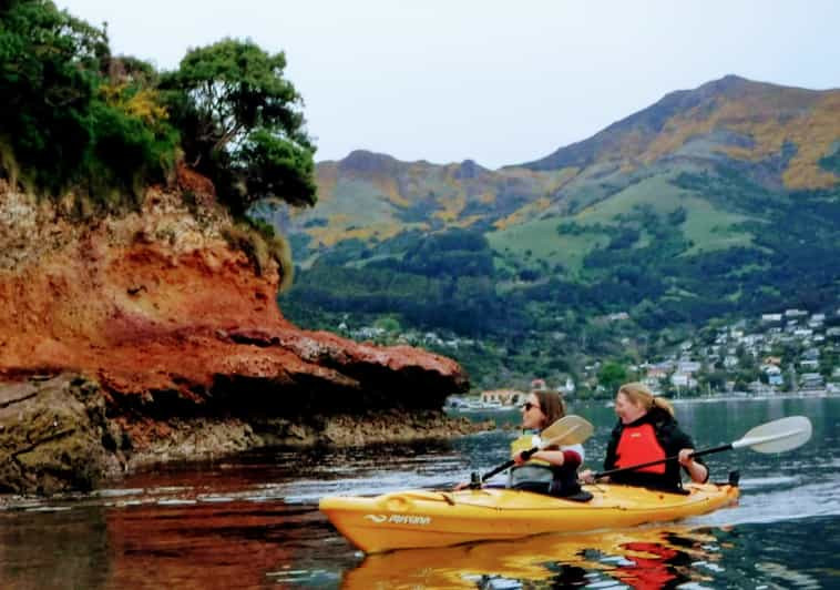 Excursion écologique de 2 5 heures dans le port d Akaroa en kayak de