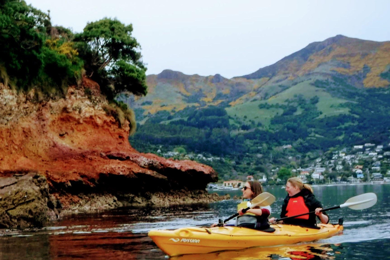 Akaroa: Wycieczka kajakiem po morzu do rezerwatu morskiego AkaroaAkaroa: Kajakarstwo morskie w rezerwacie morskim Akaroa