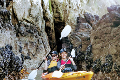 Akaroa: Wycieczka kajakiem po morzu do rezerwatu morskiego AkaroaAkaroa: Kajakarstwo morskie w rezerwacie morskim Akaroa
