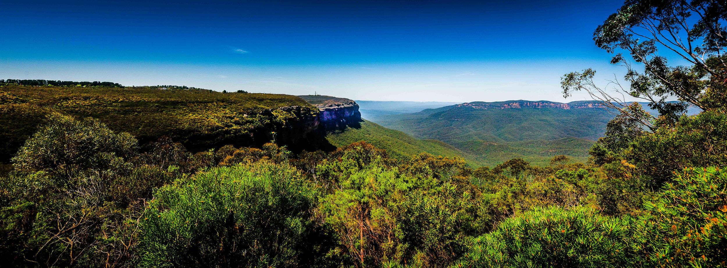 Von Sydney aus: Blue Mountains Kleingruppentour Picknick & Wanderung