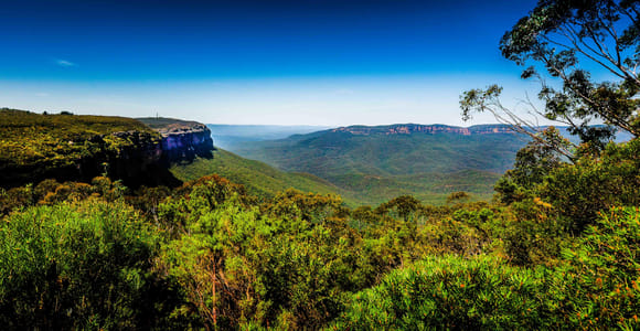 From Sydney: Blue Mountains Small-Group Tour with Picnic & Hike