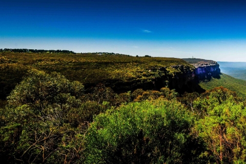 De Sydney: excursion en petit groupe dans les Blue Mountains, pique-nique et randonnée