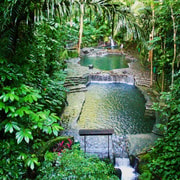 From Manila: Day Tour to Enchanting Hidden Valley From Manila: Day Tour to Enchanting Hidden Valley