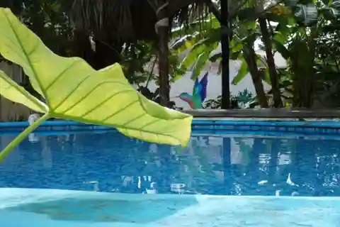 4 Days Yoga, Snorkel and Horseback Riding in Cozumel