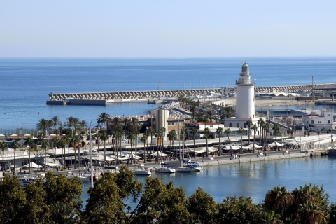 Malaga: Private Outdoor Spanish Lesson and City Tour