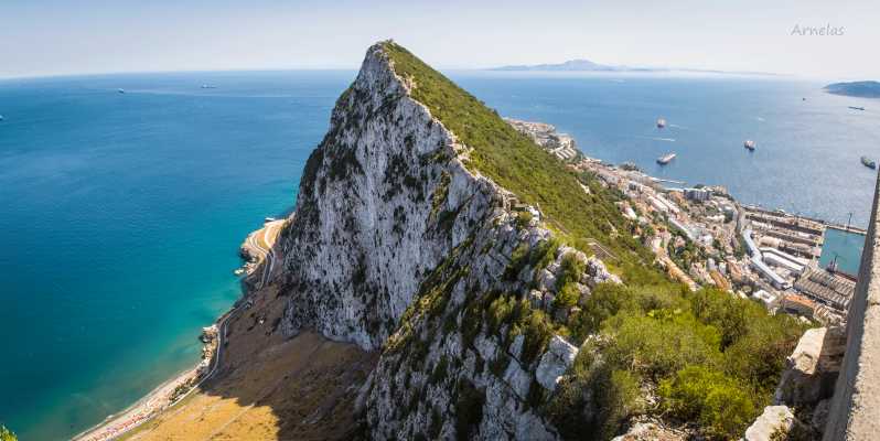 Från Málaga: Dagstur till Gibraltar med guidad tur