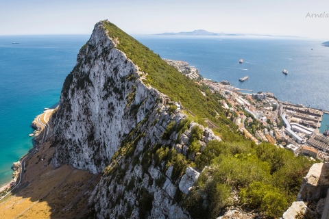Z Costa del Sol: wycieczka całodniowa na Gibraltar z przewodnikiemZ centrum Malagi