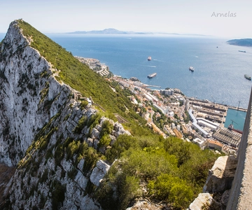 From Costa del Sol: Day Trip to Gibraltar with Guided Tour
