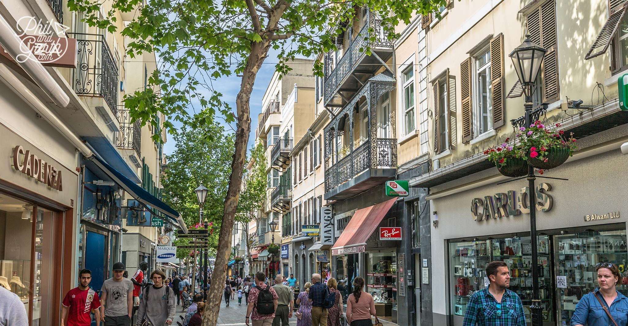 From Costa del Sol, Day Trip to Gibraltar with Guided Tour - Housity