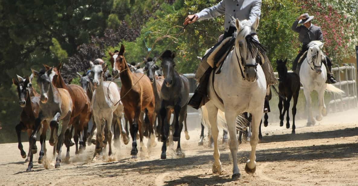 Jerez: tour por la Yeguada de la Cartuja