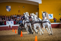 Jerez, Yeguada de la Cartuja Carthusian Horses Tour - Housity