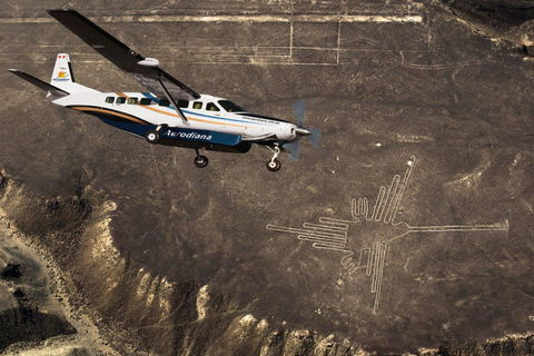 Från Lima: Dagsutflykt till Nazca-linjerna och Huacachina-oasen