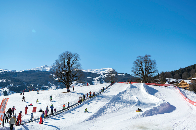 Grindelwald: Sledding at Bodmi Arena
