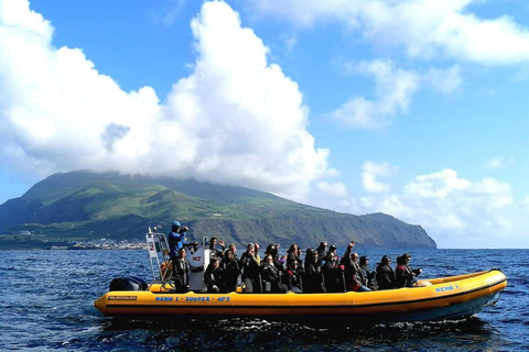 Passeios Turísticos: Ausflug nach Corvo mit dem Boot
