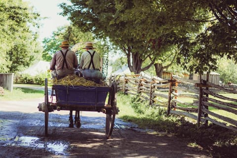 Lancaster: Downtown & Amish Country Authentic Lancaster Tour