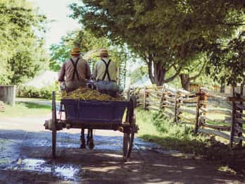 Lancaster: Authentische Lancaster-Tour durch die Innenstadt und das Amish-Land Lancaster: Authentische Lancaster-Tour durch die Innenstadt und das Amish-Land