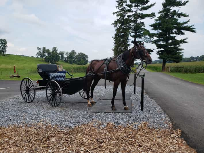 Lancaster: Downtown & Amish Country Authentic Lancaster Tour | GetYourGuide