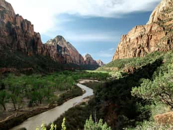 Ab Vegas: Tour zum Zion-Nationalpark mit Mittagessen Ab Vegas: Tour zum Zion-Nationalpark mit Mittagessen
