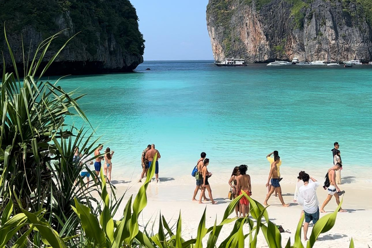 Depuis l&#039;île de Phi Phi : Excursion d&#039;une demi-journée en bateau rapide