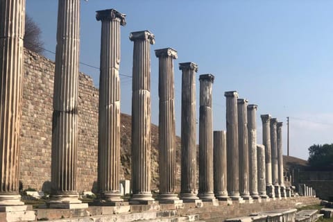 From Izmir: Private Guided Day Trip to Ancient Pergamon